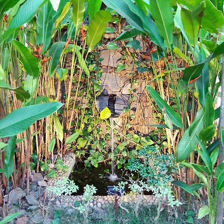 Rock Forest Goa Honeymoon Cottages Калангут Экстерьер фото